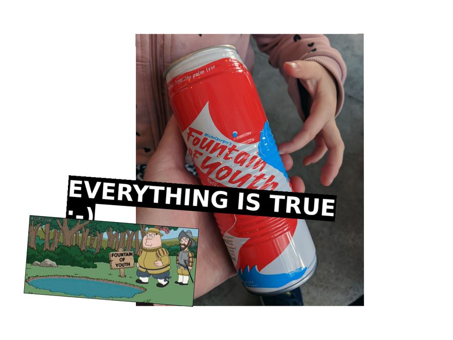 Everything Is True